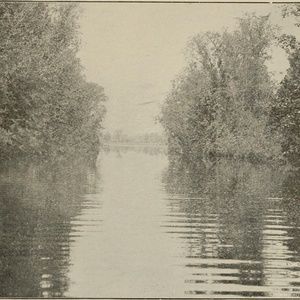 Meet your Posher, A. j.